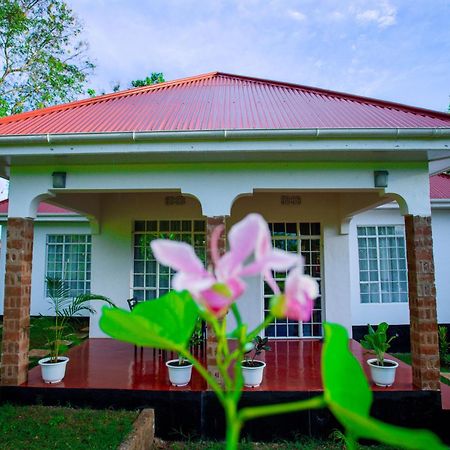 Royal Homestay Μόσι Εξωτερικό φωτογραφία